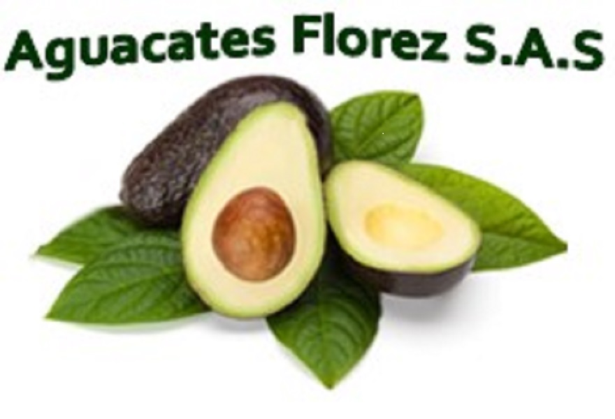 AGUACATES FLOREZ Logo