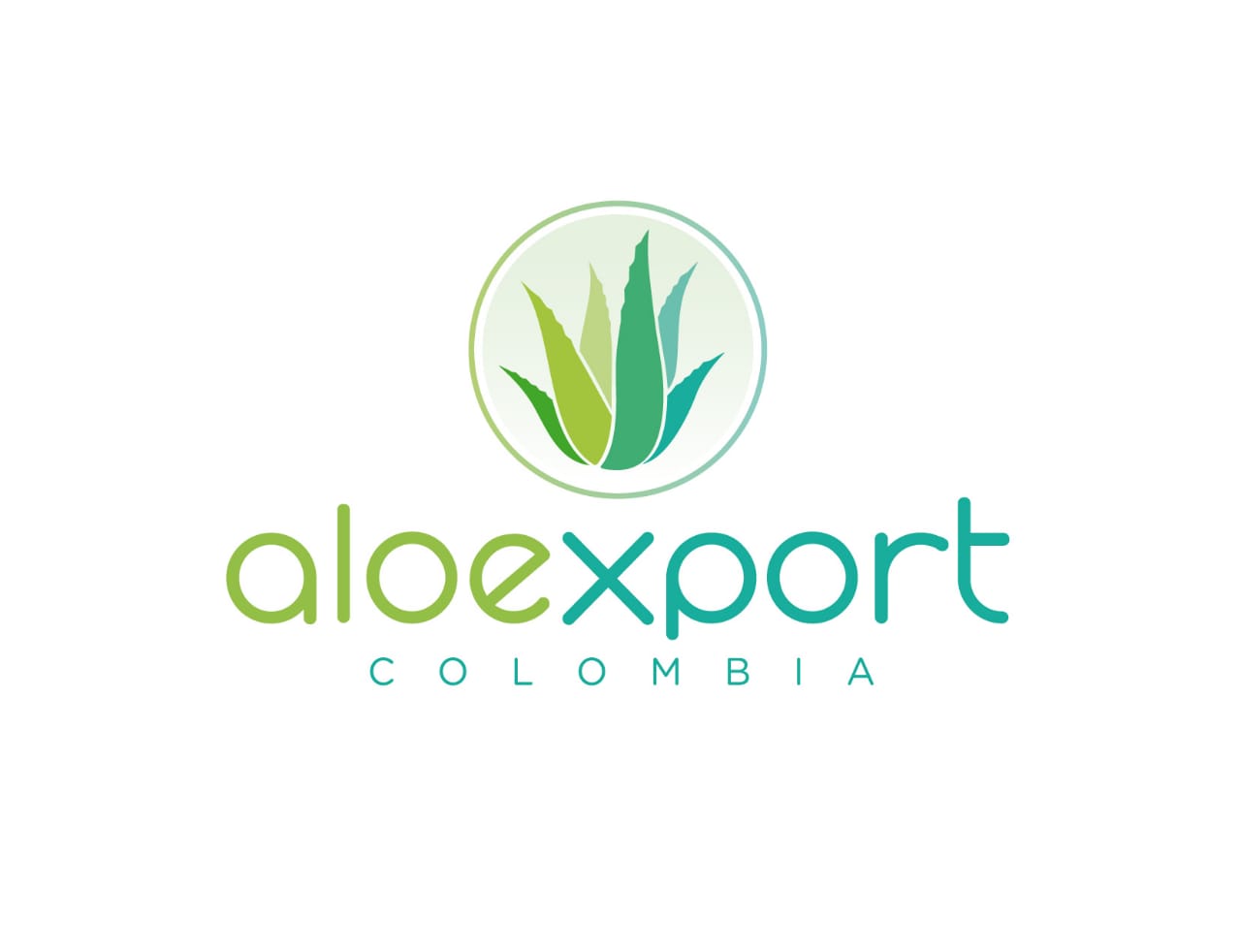 aloexport logo