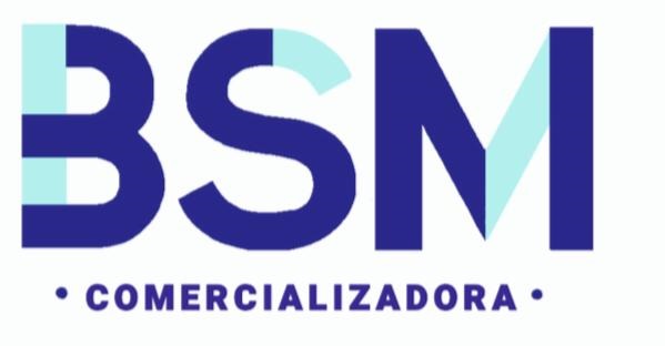 bsm-logo.jpg
