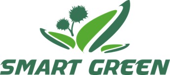 imagen-2-smart-green.jpg