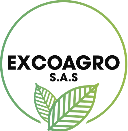 logo-1_1.png