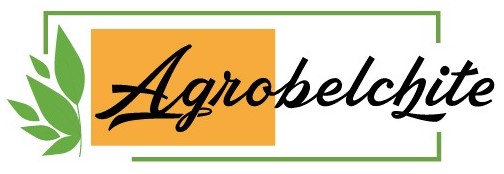 logo-agrobelchite-.jpg