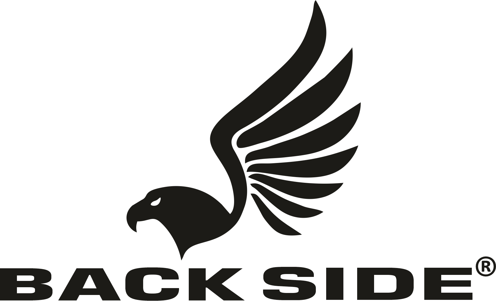 BACK SIDE LTDA LOGO