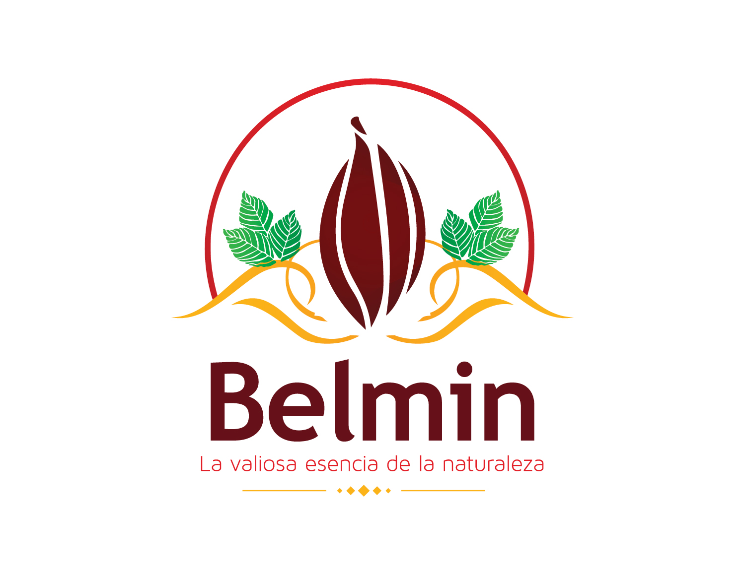 logo-belmin.jpg