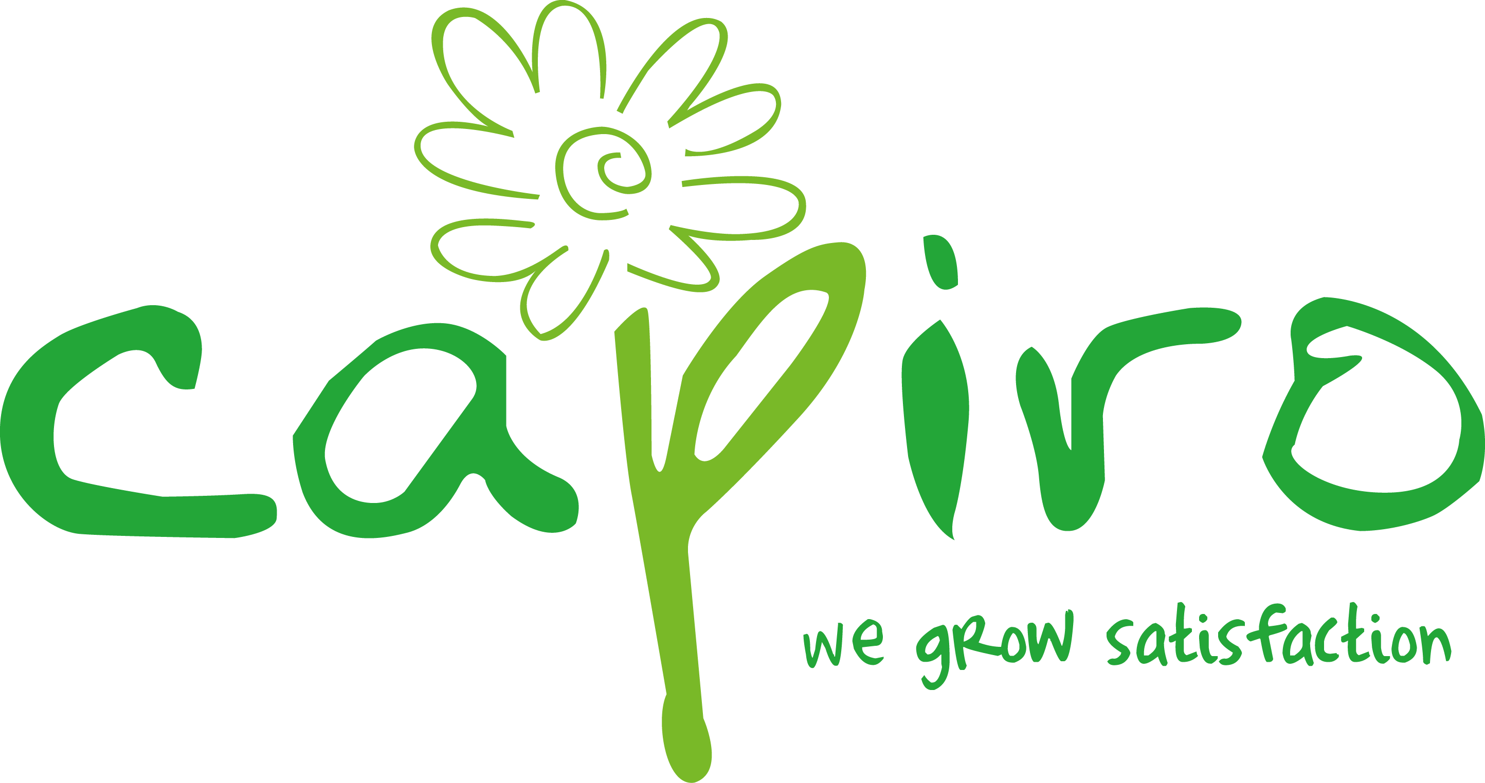 logo-capiro-fondo-blanco.png