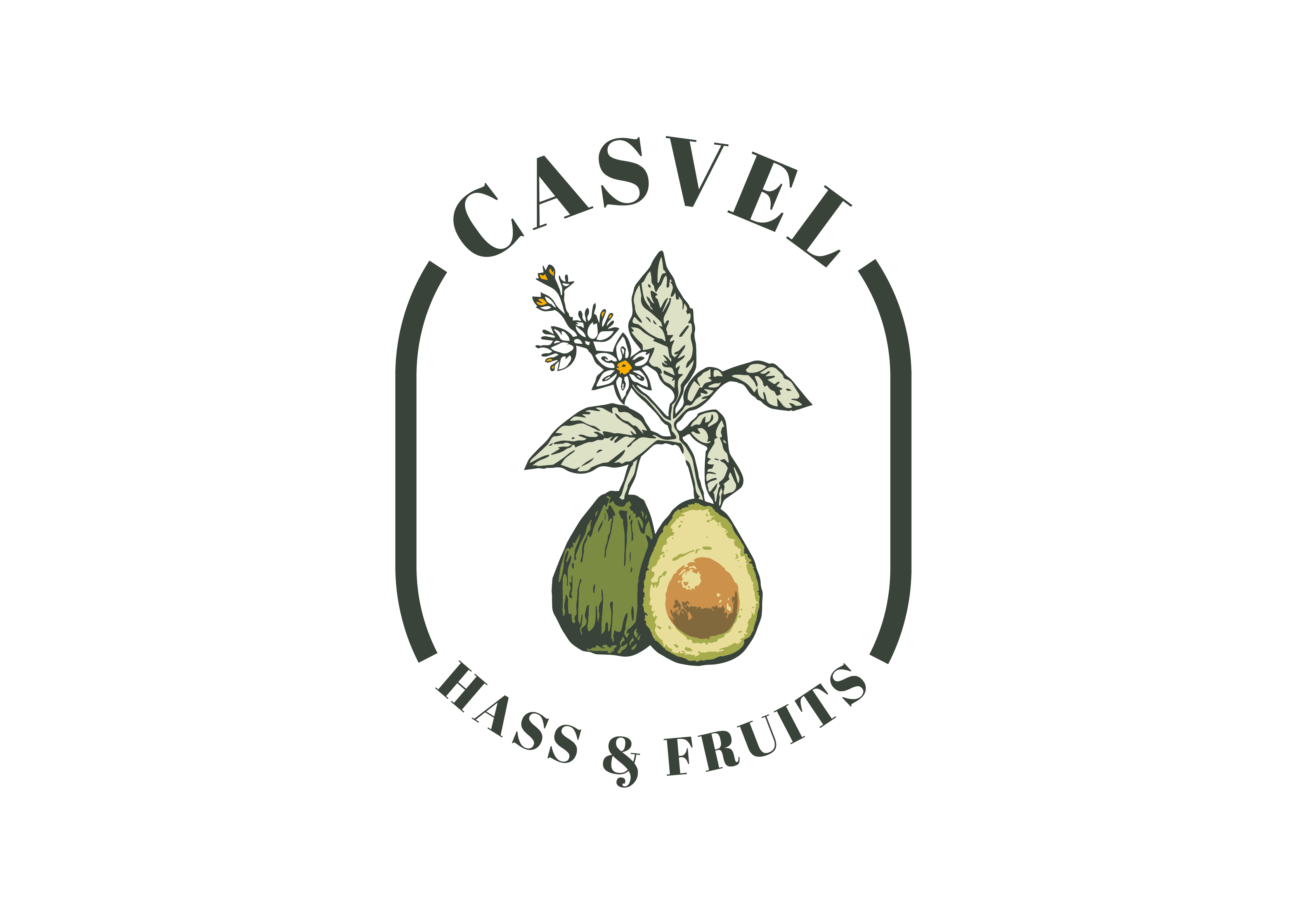 logo-casvel-imagen.png