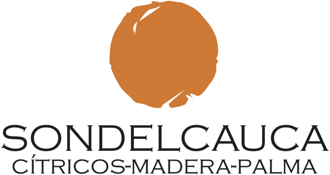 logo-cmp-color-1.png