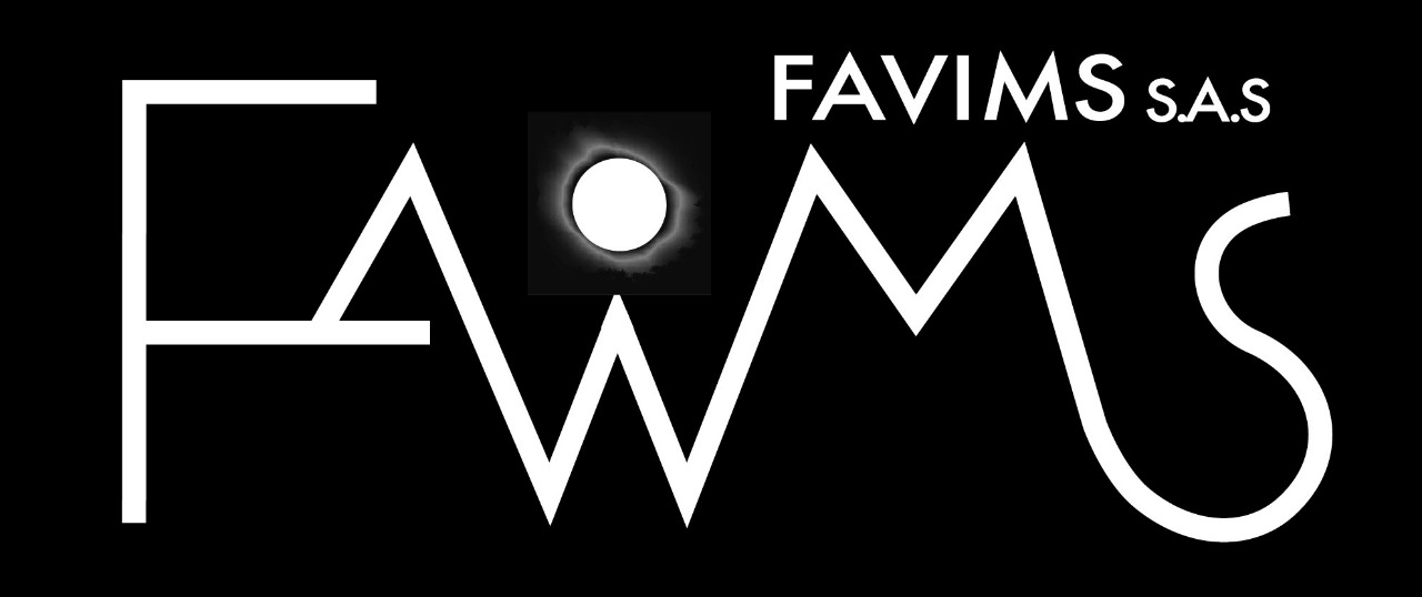 logo-favims-jpg.jpg