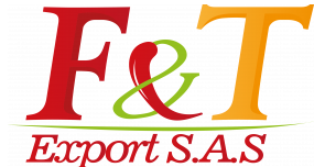 logo-fyt-2021.png