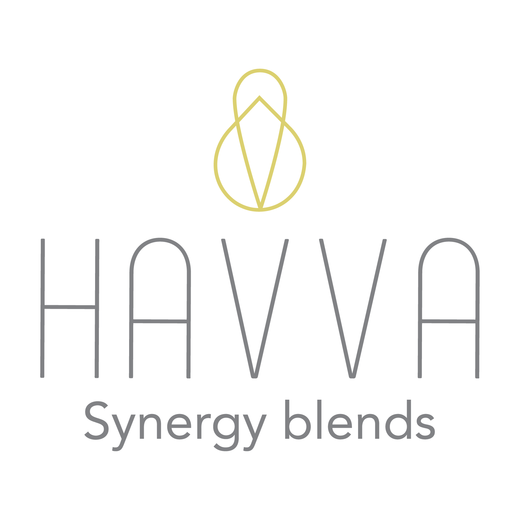 logo-havva-_mesa-de-trabajo-1.png
