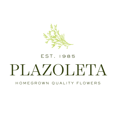 logo-plazoleta-flowers.jpg
