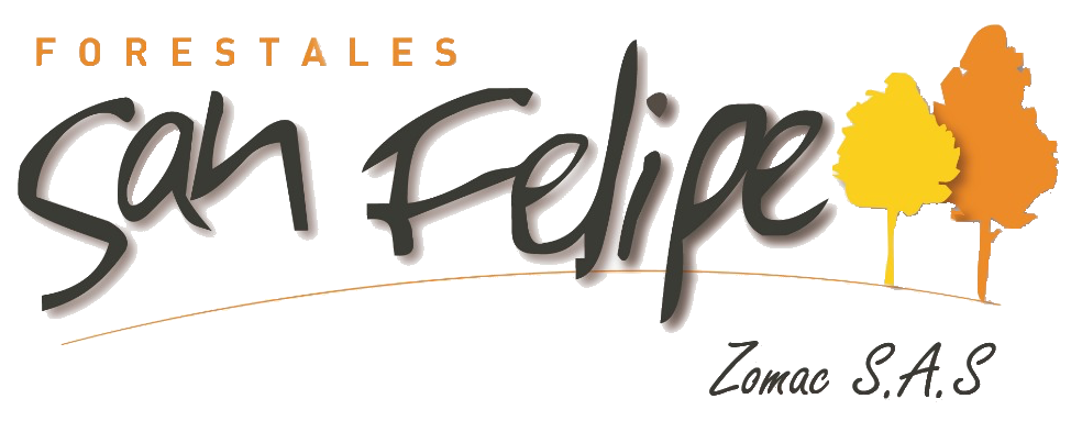 logo-san-felipe-png.png