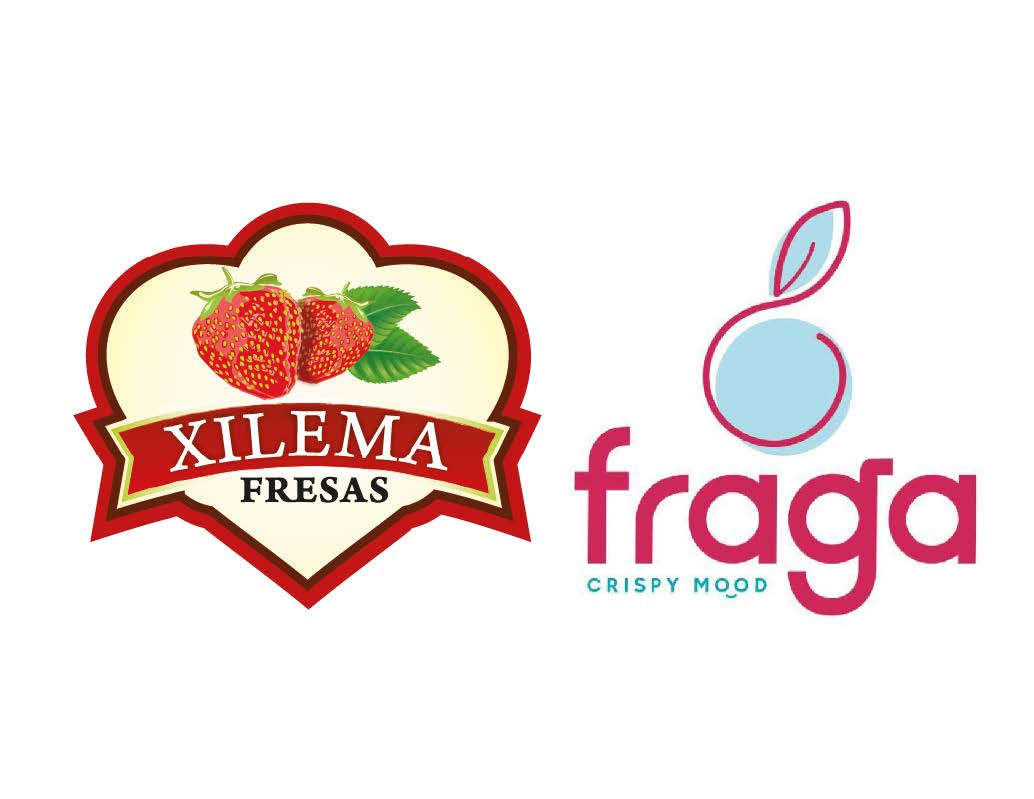 logo-xilema-fraga-2022-g.jpg