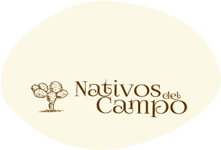 logo_23.png