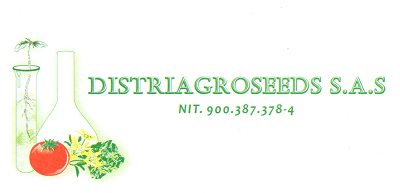 logo_4_13.png