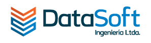 logo_datasoft.png