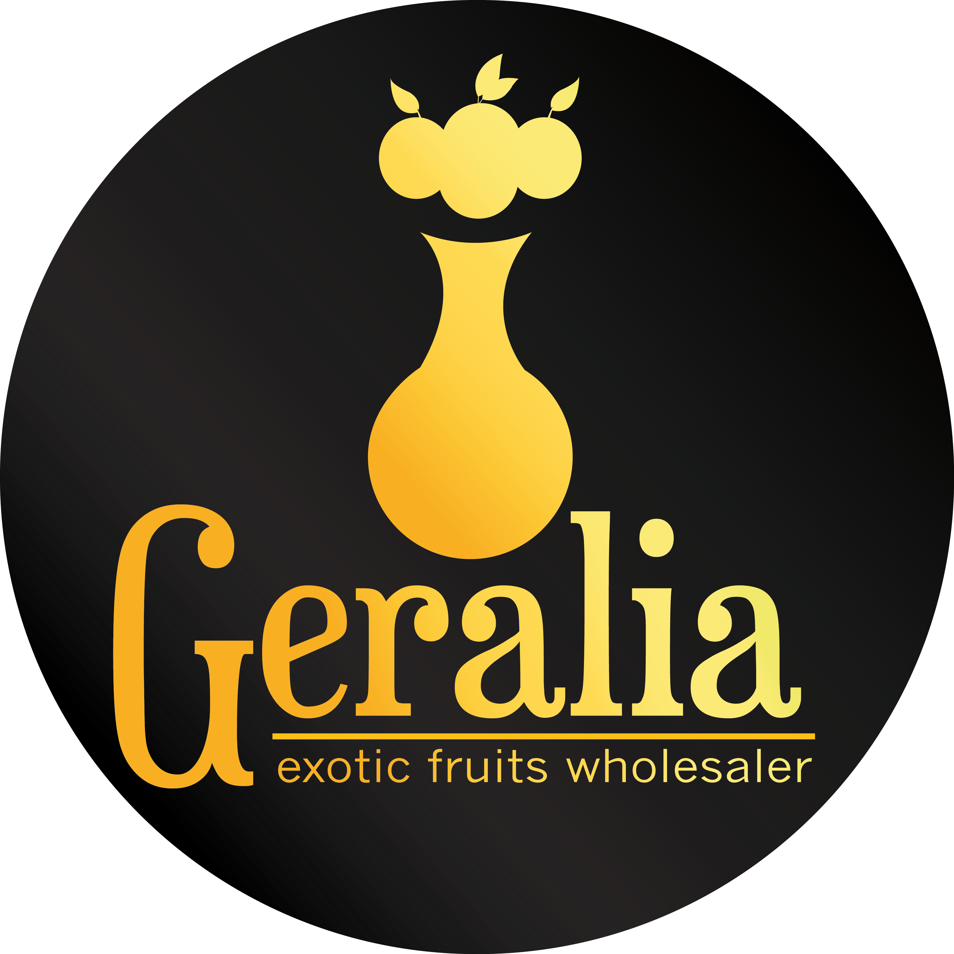 logo_disfruta_geralia.png