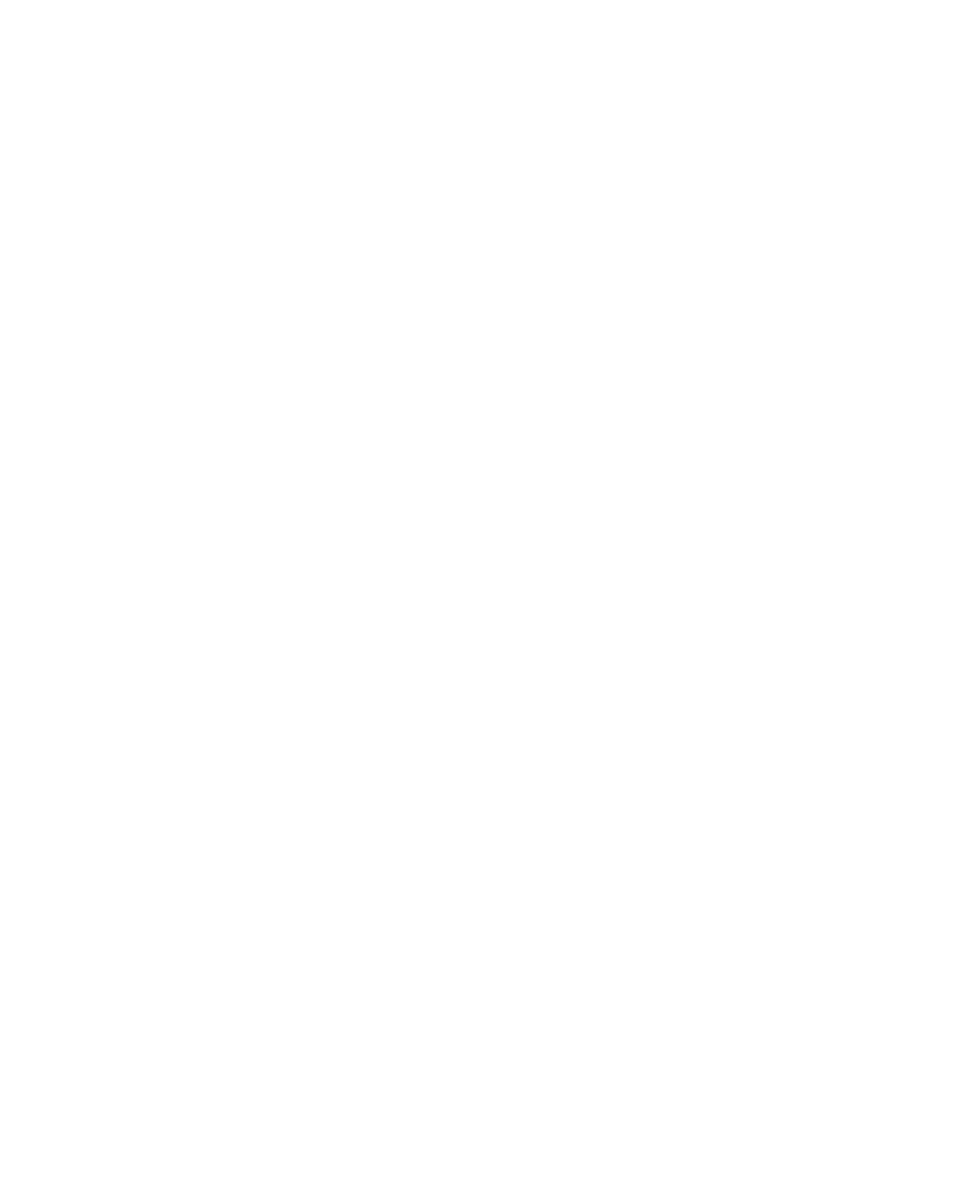 logos-bachaca-foods-1-blanco.png