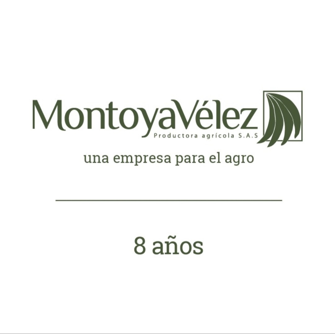 montoya-velez.png