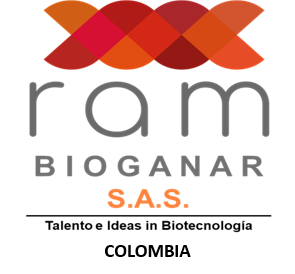 sas.png