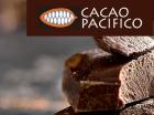 Cacao Pacífico Logo
