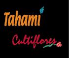Tahami Logo