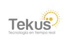 Teksus Logo