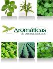 Aromaticas de Antioquia Logo
