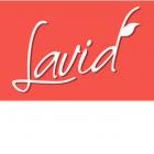 logo-lavid-jpg.jpg