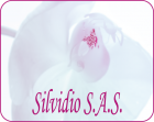 logo-silvidio.png