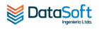 logo_datasoft.png