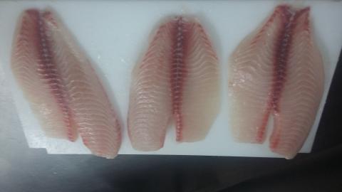 Filete de Tilapia Fresca