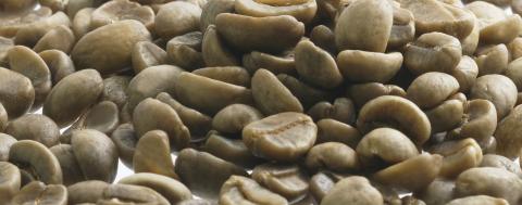 Decaffeinated Green Coffee Image