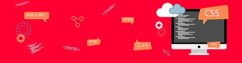 Desarrollo de Software a la medida