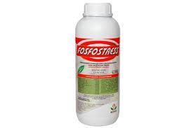 Fosfostress