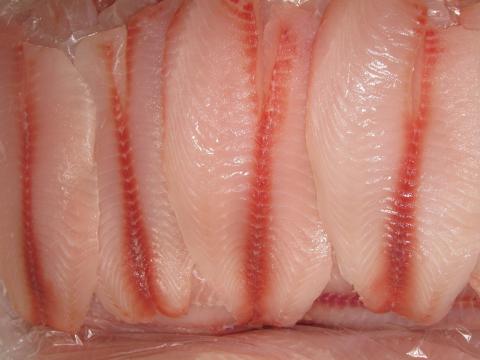FILETE DE TILAPIA TIPO EXPORTACION