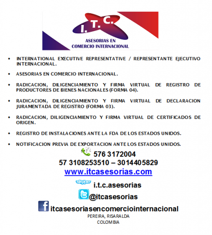 CONSULTORIA EN COMERCIO INTERNACIONAL