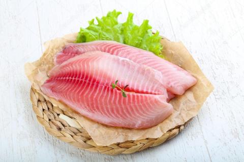 Tilapia