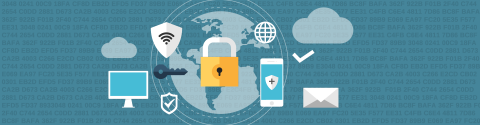 Desarrollo de APPS y Software a la medida