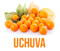Frutas exóticas