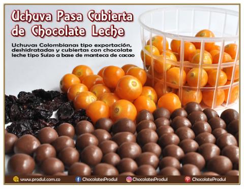 Uchuva pasa cubierta de chocolate
