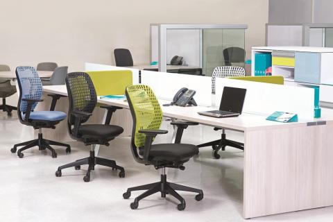 Ingo image