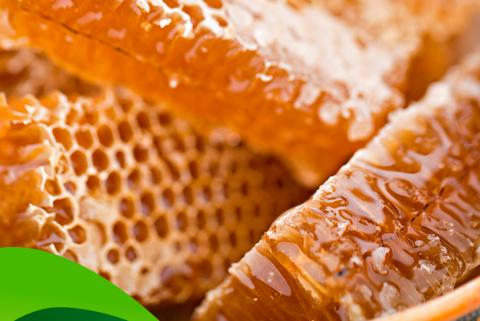 HONEY Image