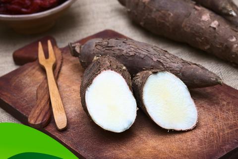 yuca_servicecol