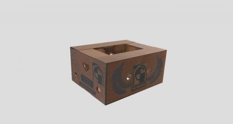 Carton Packaging Products