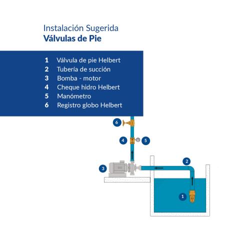Grey iron foot valve Image