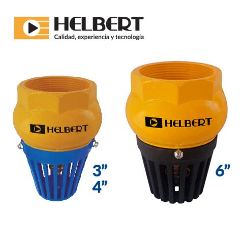 Grey iron foot valve Image