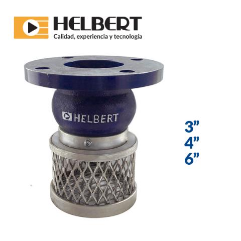 Grey iron foot valve Image