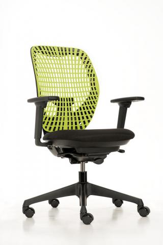 Ingo Image