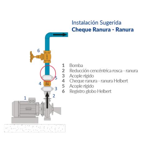 Double groove bronze check Image